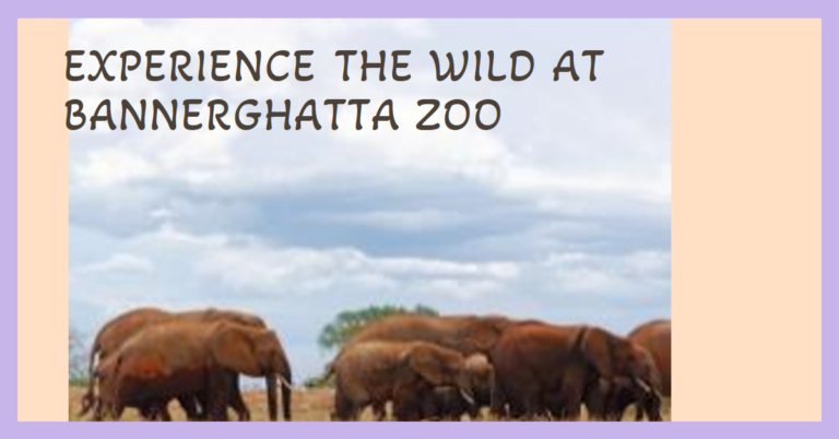 Bannerghatta Zoo
