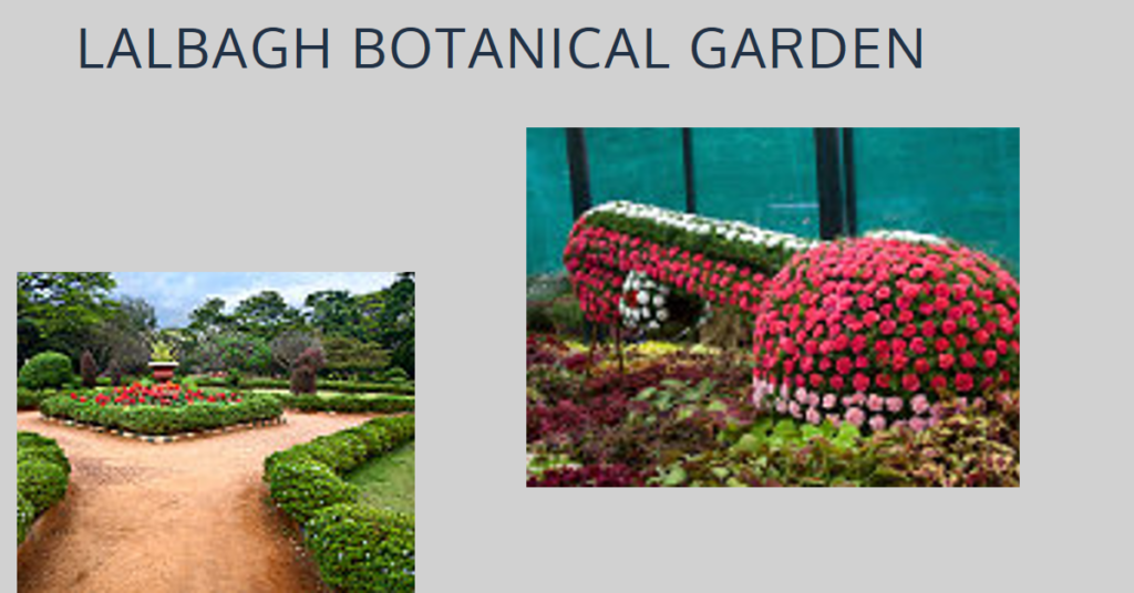 Lalbagh Botanical Garden Bangalore: A Green Haven in the Heart of the City